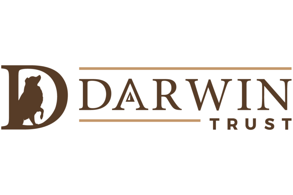 DarwinTrust GrowthStreet Success Stories Fractional Growth Leadership Clients